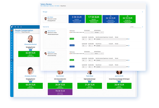 Talentia_HR_Suite_Illustration_Compensation